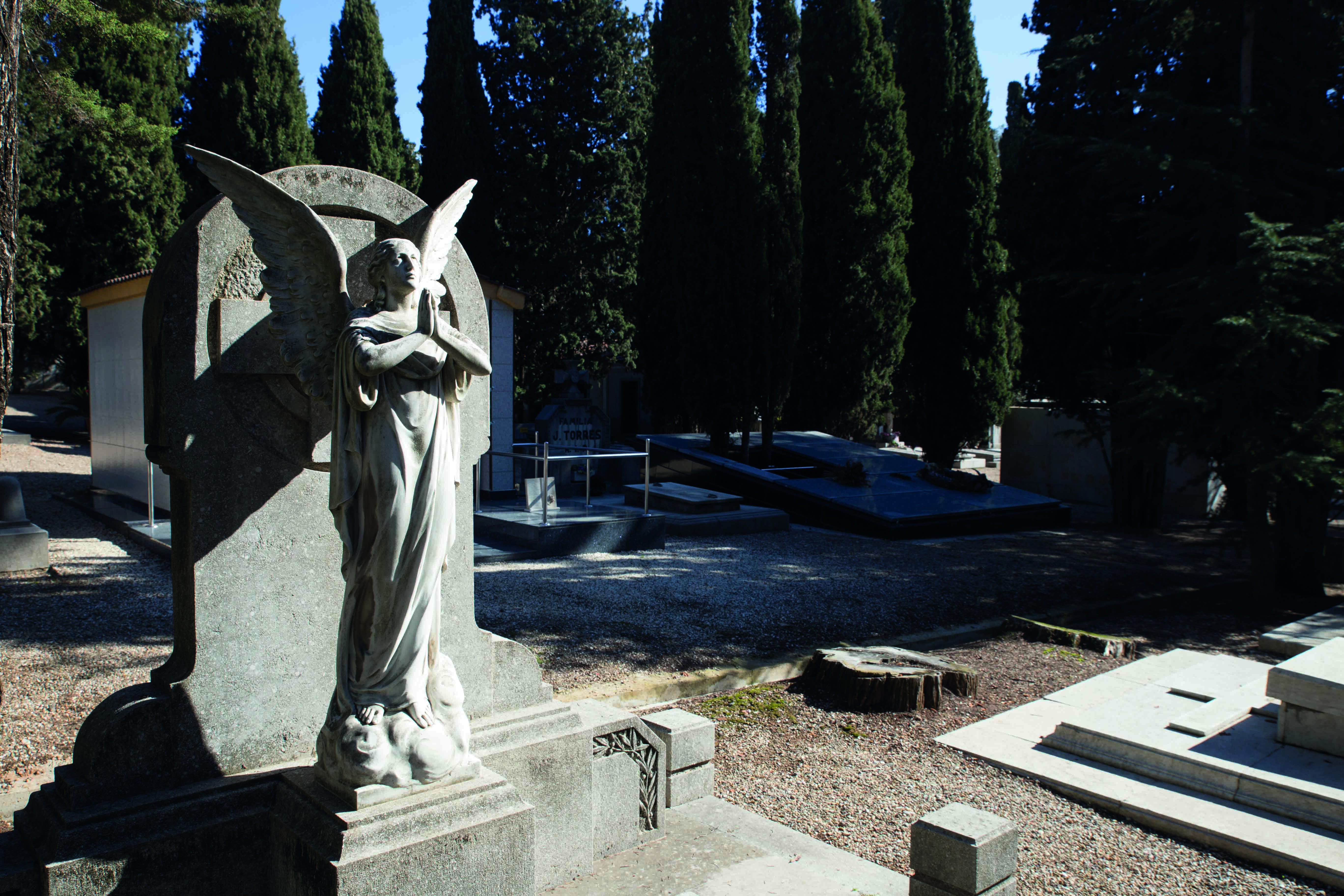 Avenida central del cementerio de Terrassa